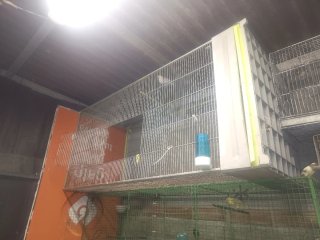 Vendo o cambio por puesta esterior