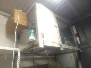Vendo o cambio por puesta esterior