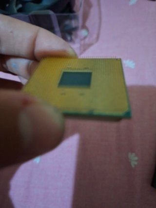 AMD Ryzen 5 5600G Procesador