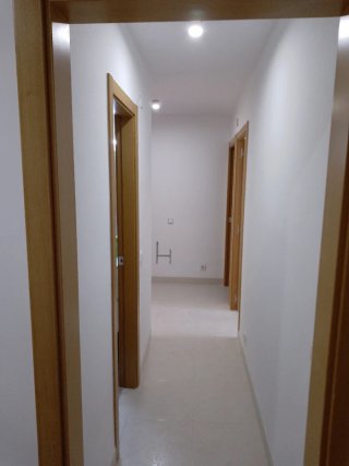 Servicios de pintura profesional