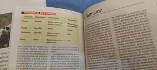 Lote 4 libros sobre razas de perros de caza