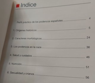 Lote 4 libros sobre razas de perros de caza