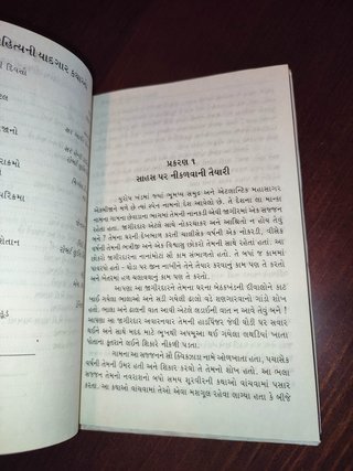 DON QUIJOTE en GUJARATI, estado regular, CERVANTES