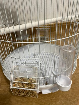 Jaula para pájaros como nueva