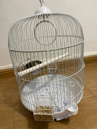 Jaula para pájaros como nueva