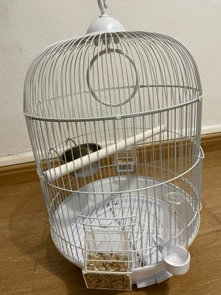 Jaula para pájaros como nueva