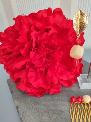 Conjunto Flamenca