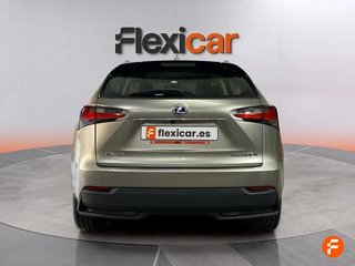 Lexus NX 2.5 300h Corporate 2WD + Navibox