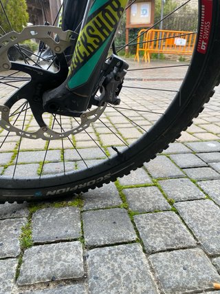 Giant Reign Carbono