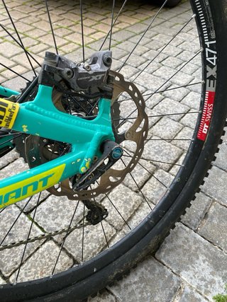 Giant Reign Carbono