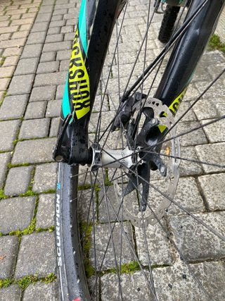 Giant Reign Carbono