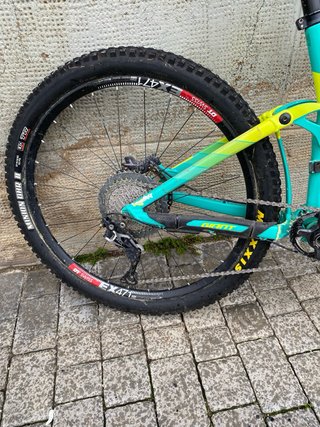 Giant Reign Carbono