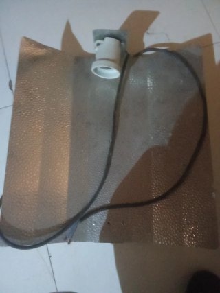 Focos de luz