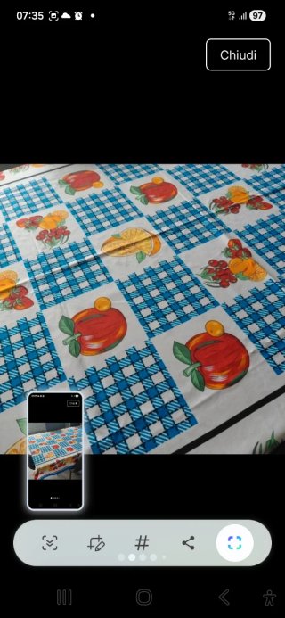 Tovaglia con frutta e quadretti blu