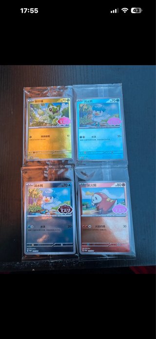Lotto Pokémon