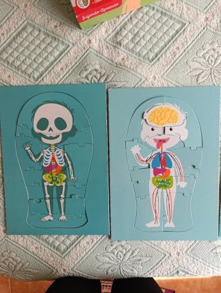 Puzzle educativo El Cuerpo Humano