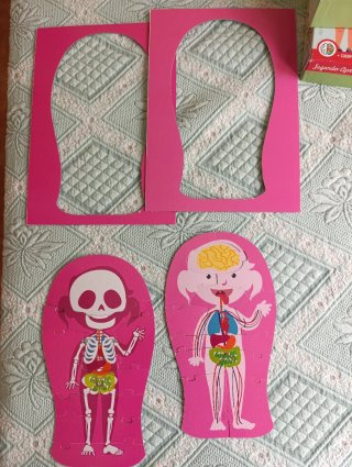 Puzzle educativo El Cuerpo Humano