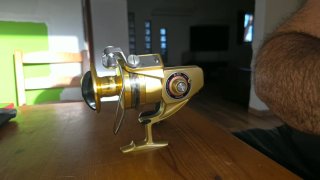 Carrete de pesca Daiwa GS9