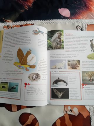 Se provo riesco Scienze 4