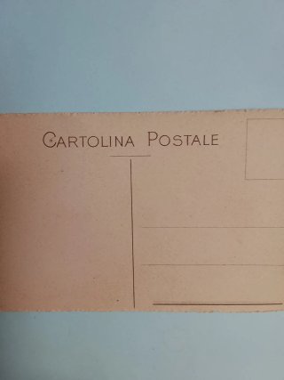 Cartolina postale con agrumi