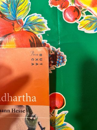 Siddhartha una composició índia