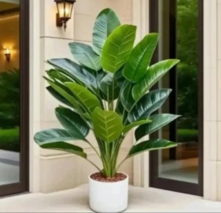 Planta Artificial 116cms Decorativa