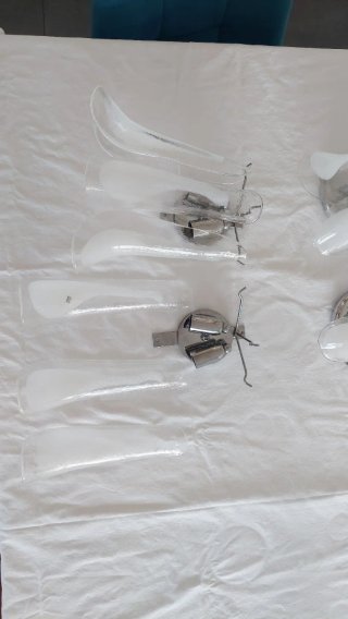 Coppia di Applique Novaresi Murano Tulipani