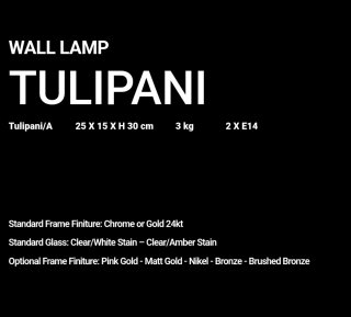 Coppia di Applique Novaresi Murano Tulipani