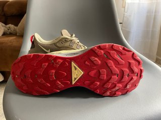 Nike Pegasus 44.5 Beige/Rojo