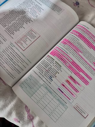 Libro 1Bach Lengua y Literatura