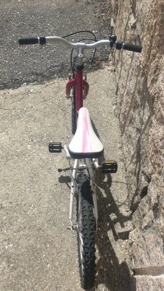 Bicicleta Talla 20