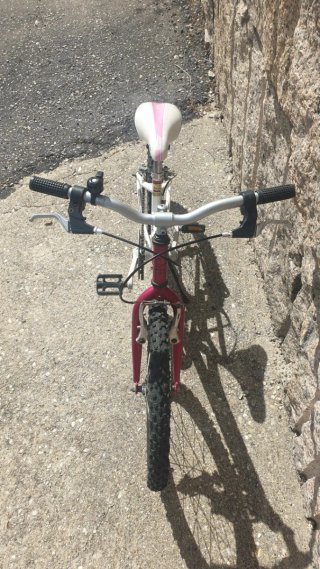 Bicicleta Talla 20