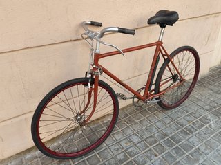 Bicicleta Paseo