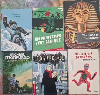 Libros lectura en francés