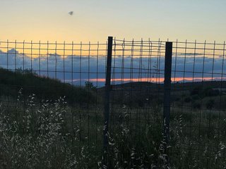 Terreno en venta en Campo Real