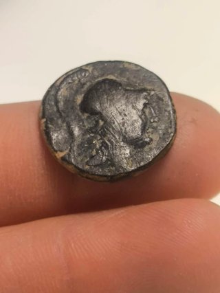 Moneda Griega Pontos AMASEIA