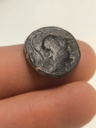 Moneda Griega Pontos AMASEIA