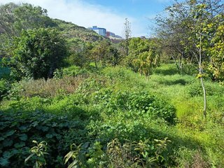 Terreno en venta en Icod de los Vinos en Icod de los Vinos