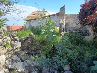 Terreno en venta en Icod de los Vinos en Icod de los Vinos