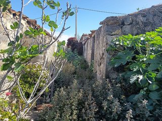 Terreno en venta en Icod de los Vinos en Icod de los Vinos