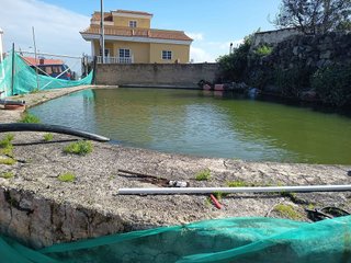 Terreno en venta en Icod de los Vinos en Icod de los Vinos