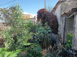 Terreno en venta en Icod de los Vinos en Icod de los Vinos