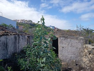 Terreno en venta en Icod de los Vinos en Icod de los Vinos