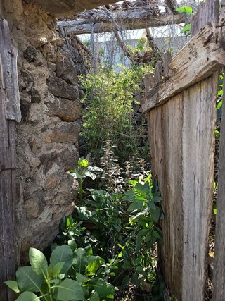 Terreno en venta en Icod de los Vinos en Icod de los Vinos
