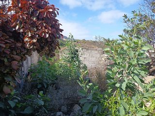 Terreno en venta en Icod de los Vinos en Icod de los Vinos