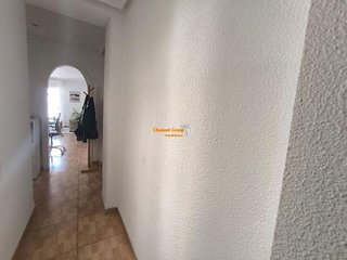 Estudio en alquiler en El Pla de Sant Josep - L'Asil en Elche
