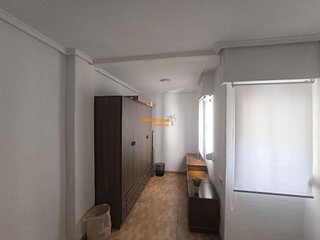 Estudio en alquiler en El Pla de Sant Josep - L'Asil en Elche