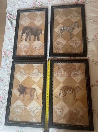 Set 4 Quadri Animali Africani con cornice e vetro