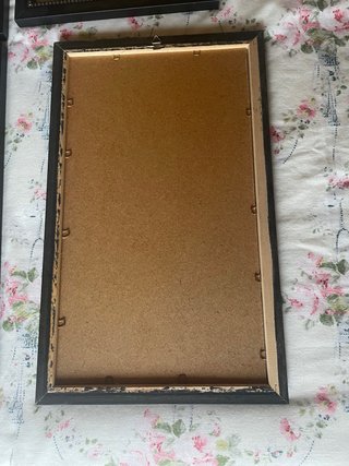 Set 4 Quadri Animali Africani con cornice e vetro