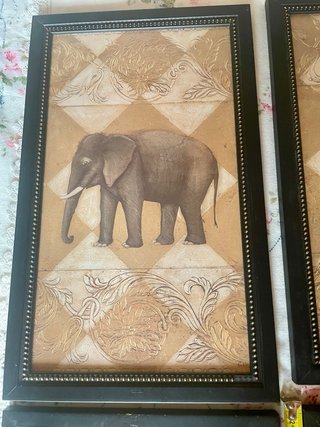 Set 4 Quadri Animali Africani con cornice e vetro